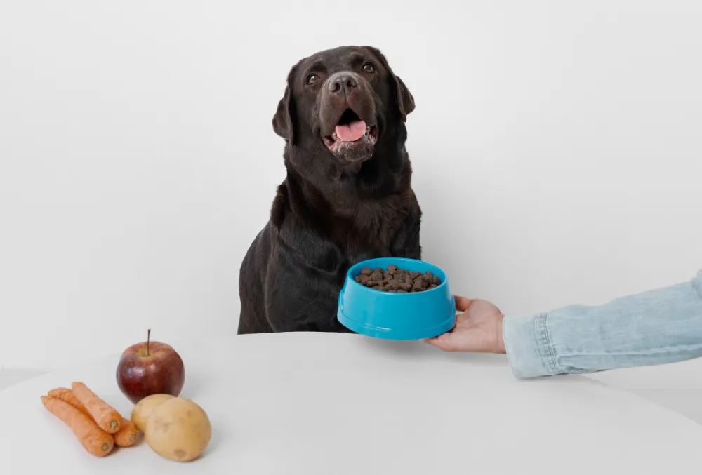 Bil Jac Dog Food