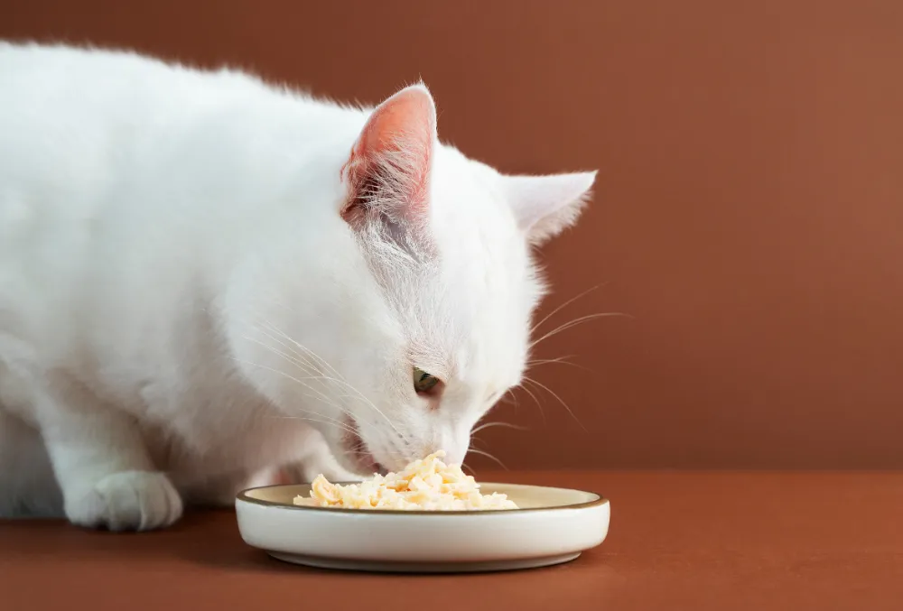 Fancy Feast Cat Food